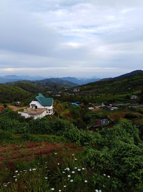 White house, Hawaeliya